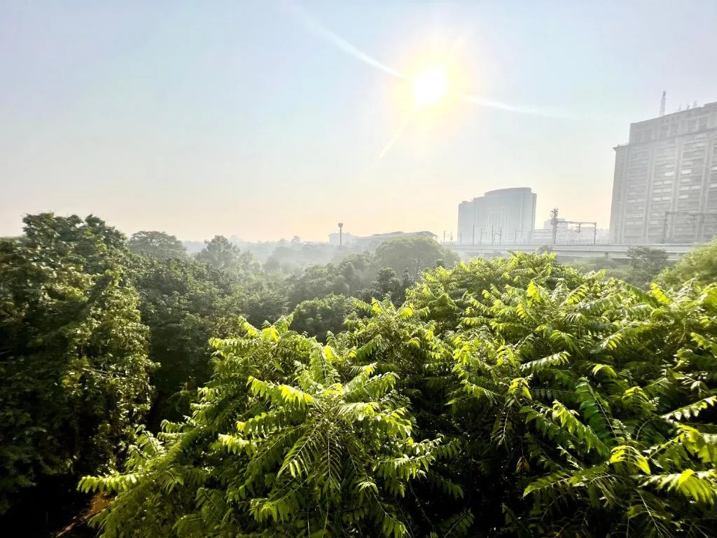 Image of House Of Comfort Delhi