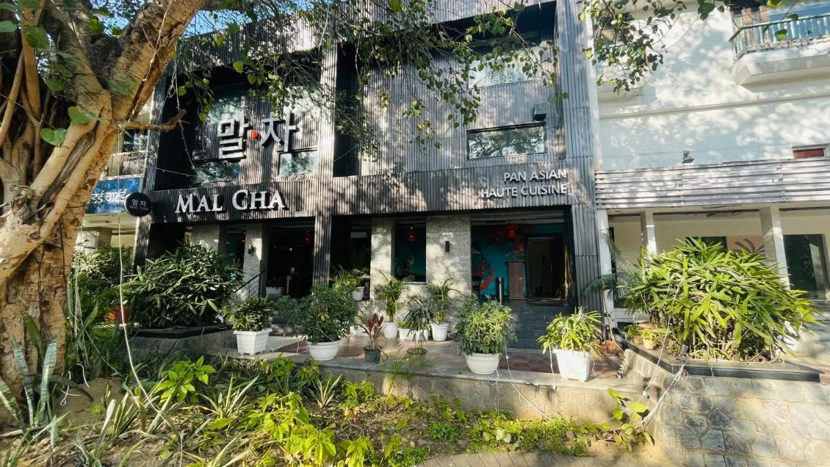 Image 4 of Saltstayz Malcha – Chanakyapuri