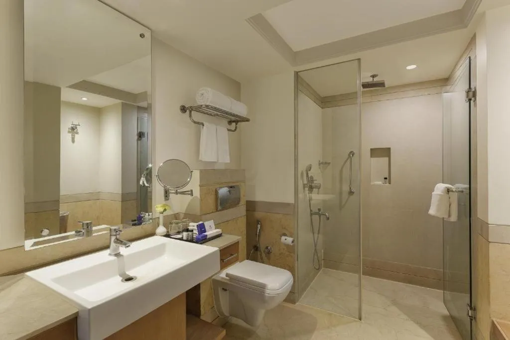 Image 6 of Hotel Royal Infinity Near Delhi Airport