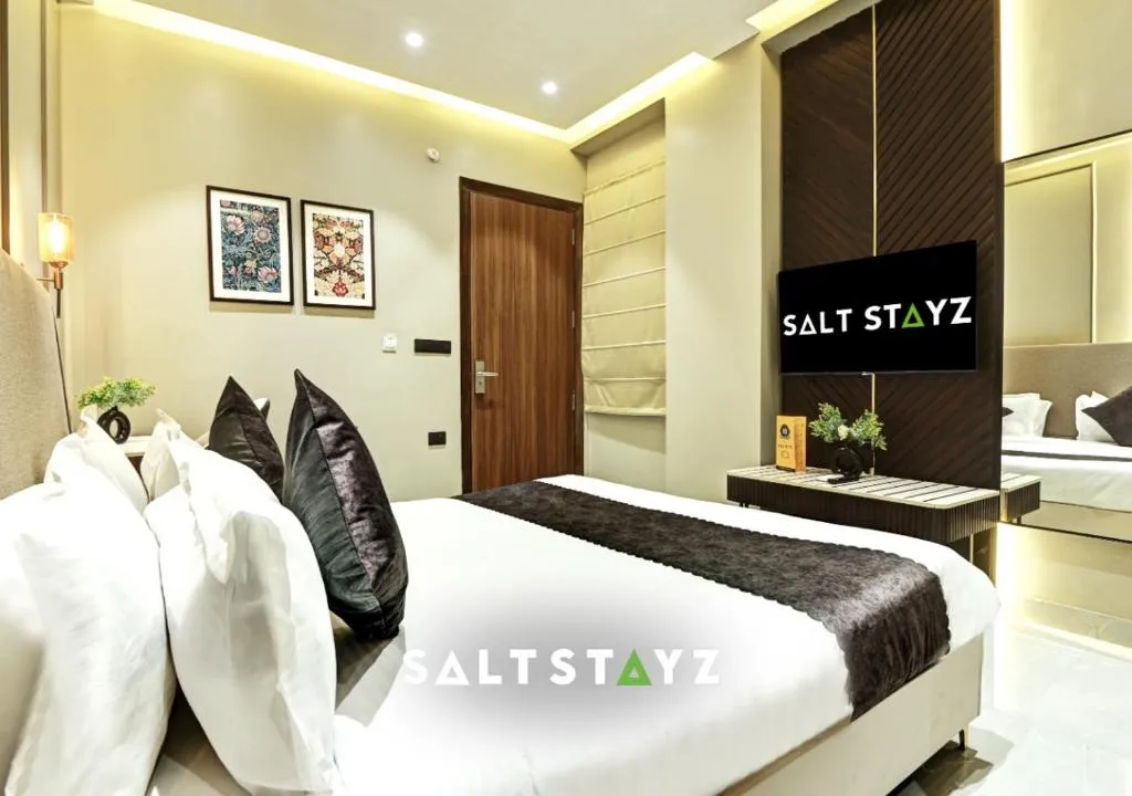 Image of Saltstayz Select – Pitampura